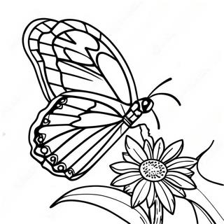 Monarch Butterfly Coloring Page 58615-48696