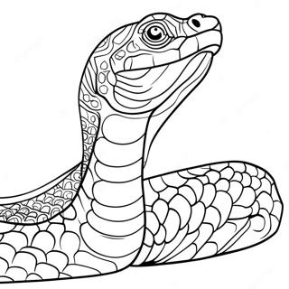 Boa Constrictor Coloring Page 58635-48708