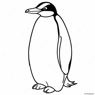 Emperor Penguin Coloring Page 58715-48767