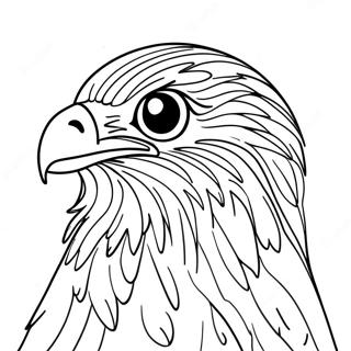 Birds Of Prey Coloring Page 59035-49028