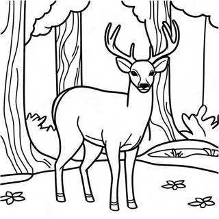 White Tailed Deer Standing In Forest Coloring Page 59336-49267