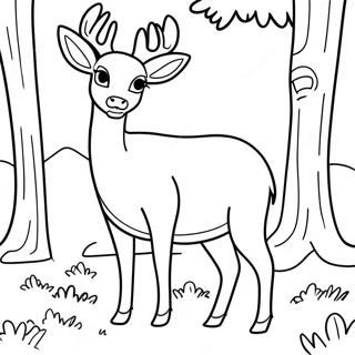 White Tailed Deer Standing In Forest Coloring Page 59336-49268