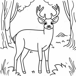 White Tailed Deer Coloring Pages