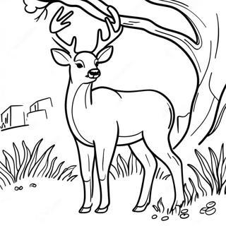 Graceful White Tailed Deer Grazing Coloring Page 59337-49262