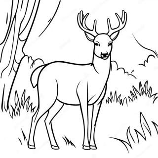 Graceful White Tailed Deer Grazing Coloring Page 59337-49263