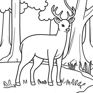 Graceful White Tailed Deer Grazing Coloring Page 59337-49264