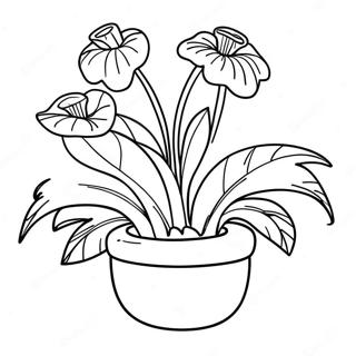 Audrey Ii Plant Coloring Page 60957-50548