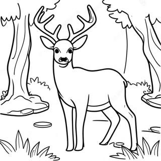 Mule Deer In A Forest Coloring Page 61836-51246