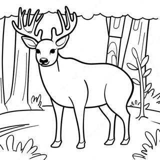 Mule Deer In A Forest Coloring Page 61836-51247