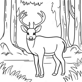 Mule Deer In A Forest Coloring Page 61836-51248