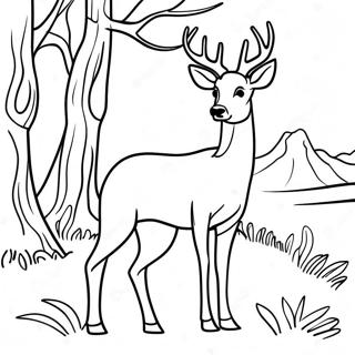 Majestic Mule Deer Standing Tall Coloring Page 61837-51251