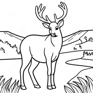 Majestic Mule Deer Standing Tall Coloring Page 61837-51252