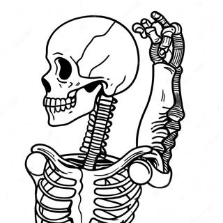 X Ray Skeleton Coloring Page 61876-51282