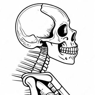 X Ray Skeleton Coloring Page 61876-51284