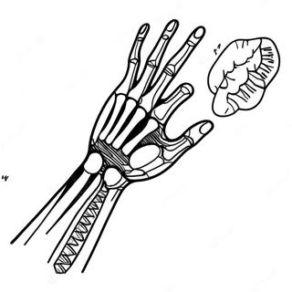 X Ray Arm And Hand Coloring Page 61877-51289