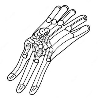 X Ray Arm And Hand Coloring Page 61877-51292