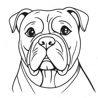 American Bulldog Coloring Page 62066-51434