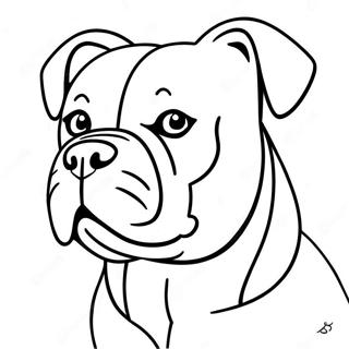 American Bulldog Coloring Page 62066-51436