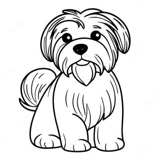 Havanese Dog Coloring Page 62267-51600