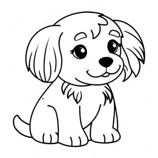 Havanese Coloring Pages