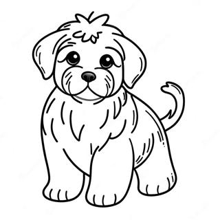 Cute Havanese Puppy Coloring Page 62268-51584