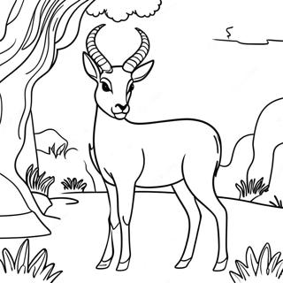 Antelope Coloring Page 62647-51887