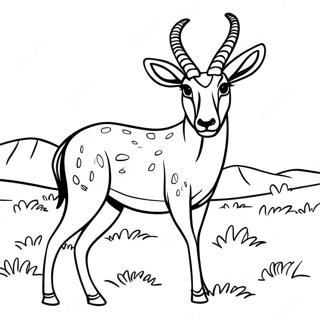 Majestic Antelope In The Wild Coloring Page 62648-51890