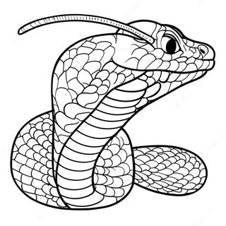 Viper Coloring Page 63219-52322