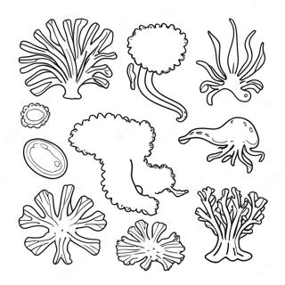 Algae Coloring Page 63329-52410