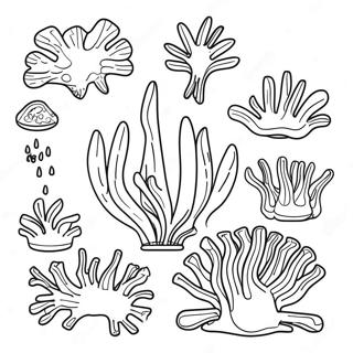 Algae Coloring Page 63329-52411