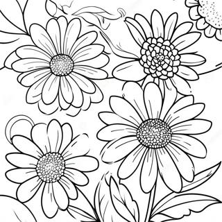 Chrysanthemum Flower Coloring Page 63629-52642