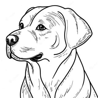 Labrador Coloring Page 6394-5107