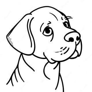 Labrador Coloring Page 6394-5204