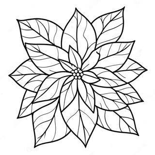 Christmas Poinsettia Coloring Pages