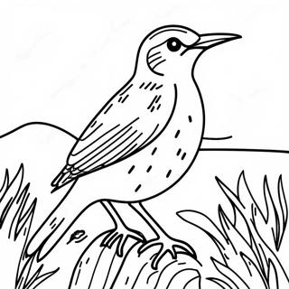 Western Meadowlark Clipart Coloring Pages