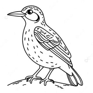 Western Meadowlark Coloring Page 65180-53855