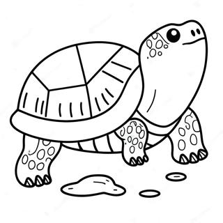 Snapping Turtle Coloring Pages