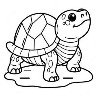 Snapping Turtle Coloring Page 65830-54374