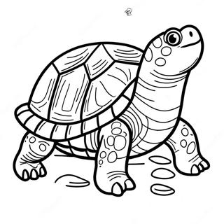 Snapping Turtle Coloring Page 65830-54375