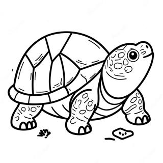 Snapping Turtle Coloring Page 65830-54376