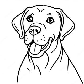 Playful German Shorthaired Pointer Coloring Page 66131-54627