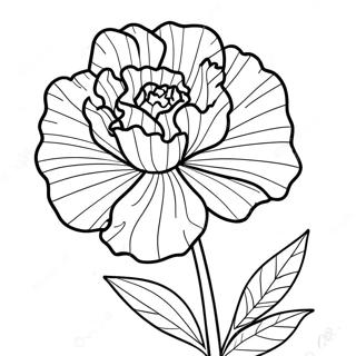 Carnation Flower Coloring Page 66170-54650