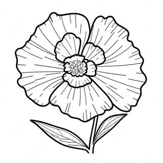 Carnation Flower Coloring Page 66170-54651