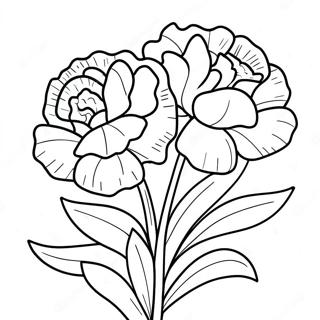 Beautiful Carnation Bouquet Coloring Page 66171-54653