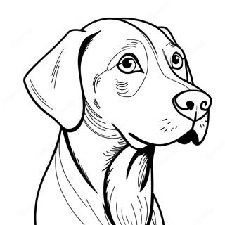 Weimaraner Dog Coloring Page 66440-54894