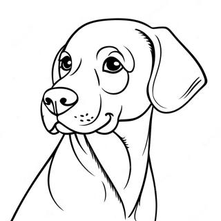 Weimaraner Dog Coloring Page 66440-54896