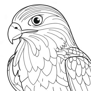 Falcon Coloring Page 67232-55474