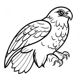 Majestic Falcon In Flight Coloring Page 67233-55487