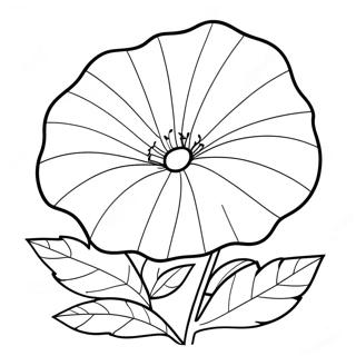 Morning Glory Flower Coloring Page 67892-56002