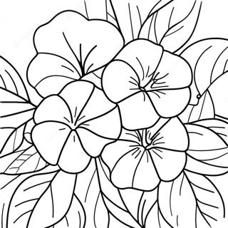 Beautiful Morning Glory Vine Coloring Page 67893-56006